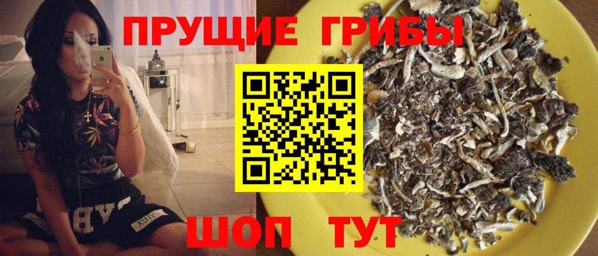 Галлюциногенные грибы Psilocybe Чехов